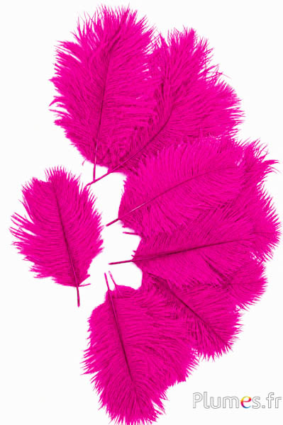 Strauss Bellies - 8-13 cm - pink